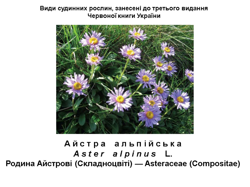 Види судинних рослин, занесені до третього видання Червоної книги України А й с т